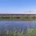 Parque Nacional de las Tablas de Daimiel