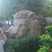 le lion in Ifrane city