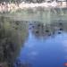 lac des canards (fr) in Ifrane city