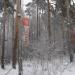 Парковка в городе Екатеринбург