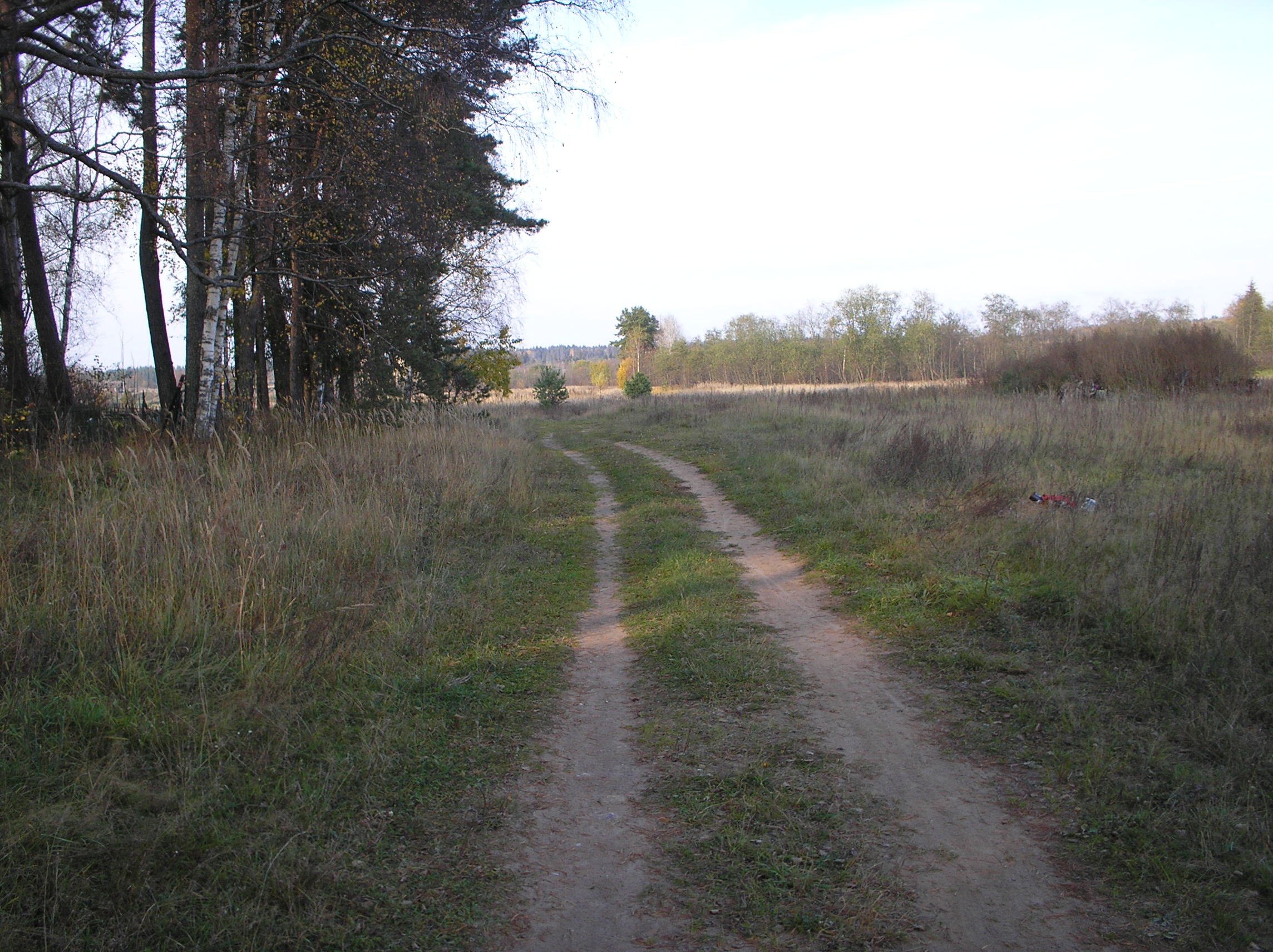 Лес