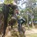 Hemmathagama Town