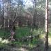 Pozostałości bocznicy torów wąskotorowych i normalnotorowych (pl) in Hel city