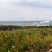 Смотровая площадка с панорамным обзором в городе Екатеринбург