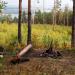 Смотровая площадка с панорамным обзором в городе Екатеринбург