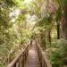 Lekki Conservation Centre