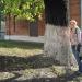 Двухсотлетняя липа. Памятник природы. в городе Владимир
