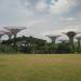 Supertree Grove in Republic of Singapore city