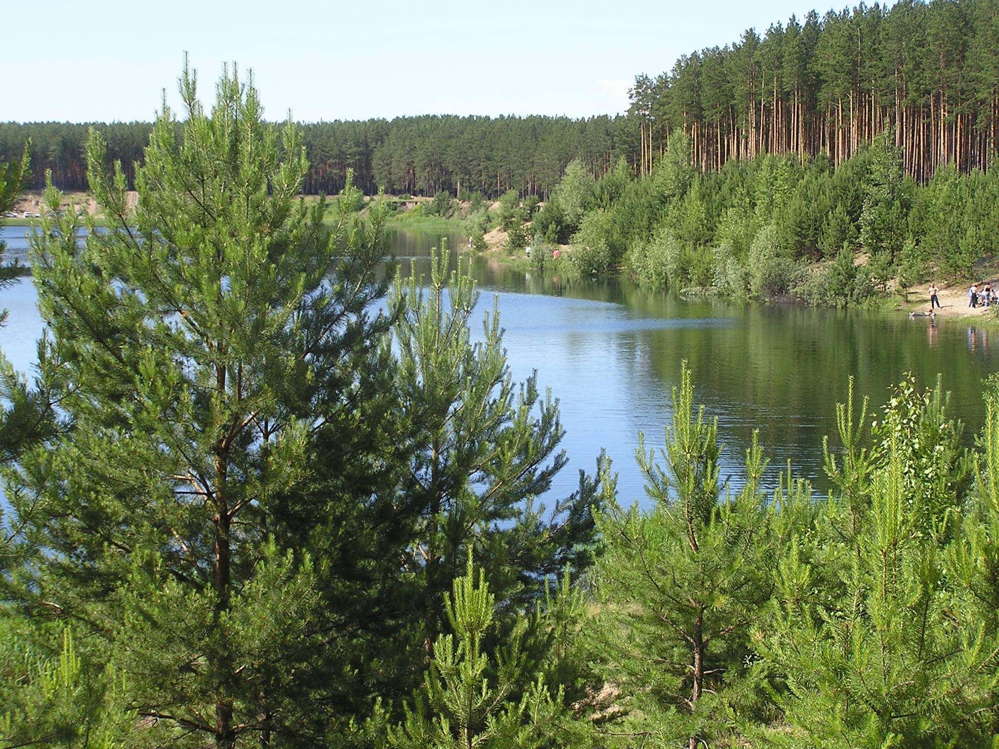 озеро лебяжье томск