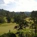 Padang Golf Cameron Highlands