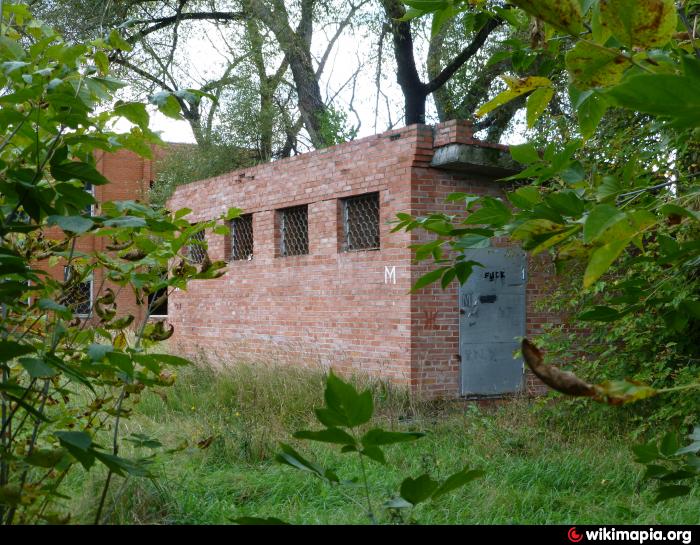 Стрельбище в Орехово Зуево