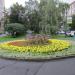 Клумба в городе Москва