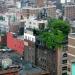 419 Lafayette Street