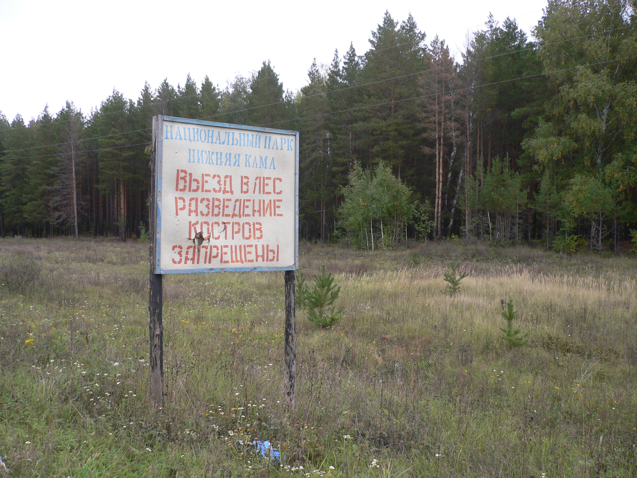 Боровецкий лес национального парка нижняя Кама