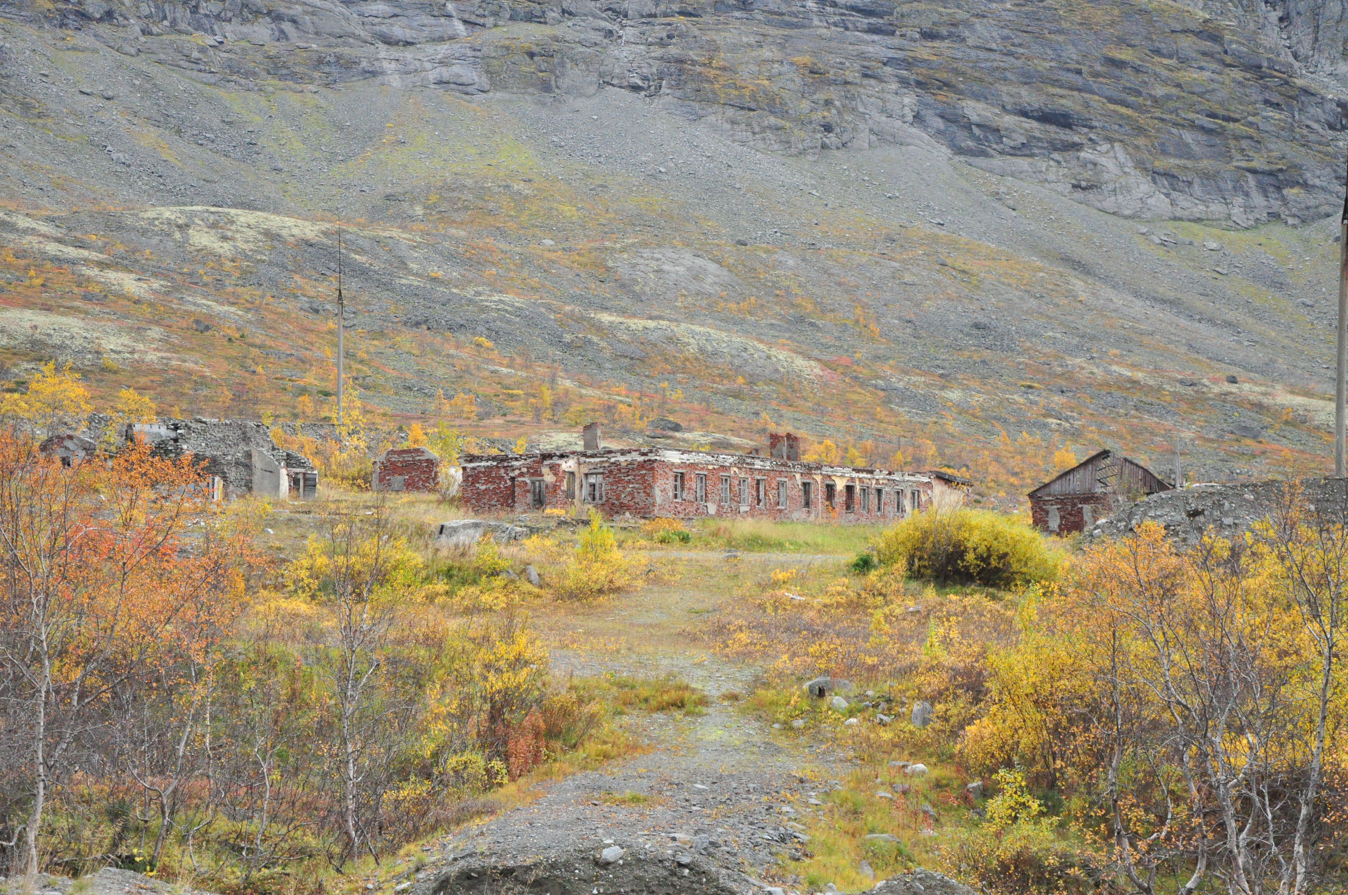 Yigitning jerkib ketayotgani haqidagi onlayn video