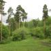 Основинский парк в городе Екатеринбург