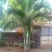 Mufassil Home