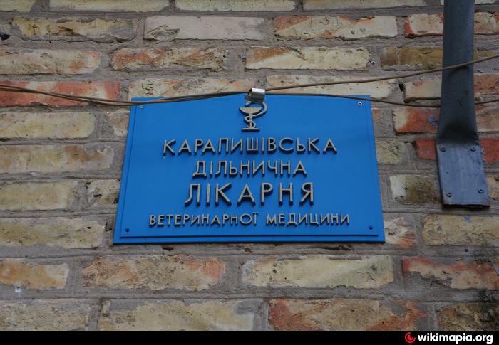 69 поликлиника адрес москва