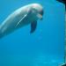 ACUARIO ZOO DE BARCELONA en la ciudad de Barcelona