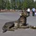 Скульптура «Собака» в городе Нижневартовск