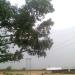 LADURKA ELECTRIC SUBSTATION  [BY ABHIMUNYA BANERJEE-CHOTON].