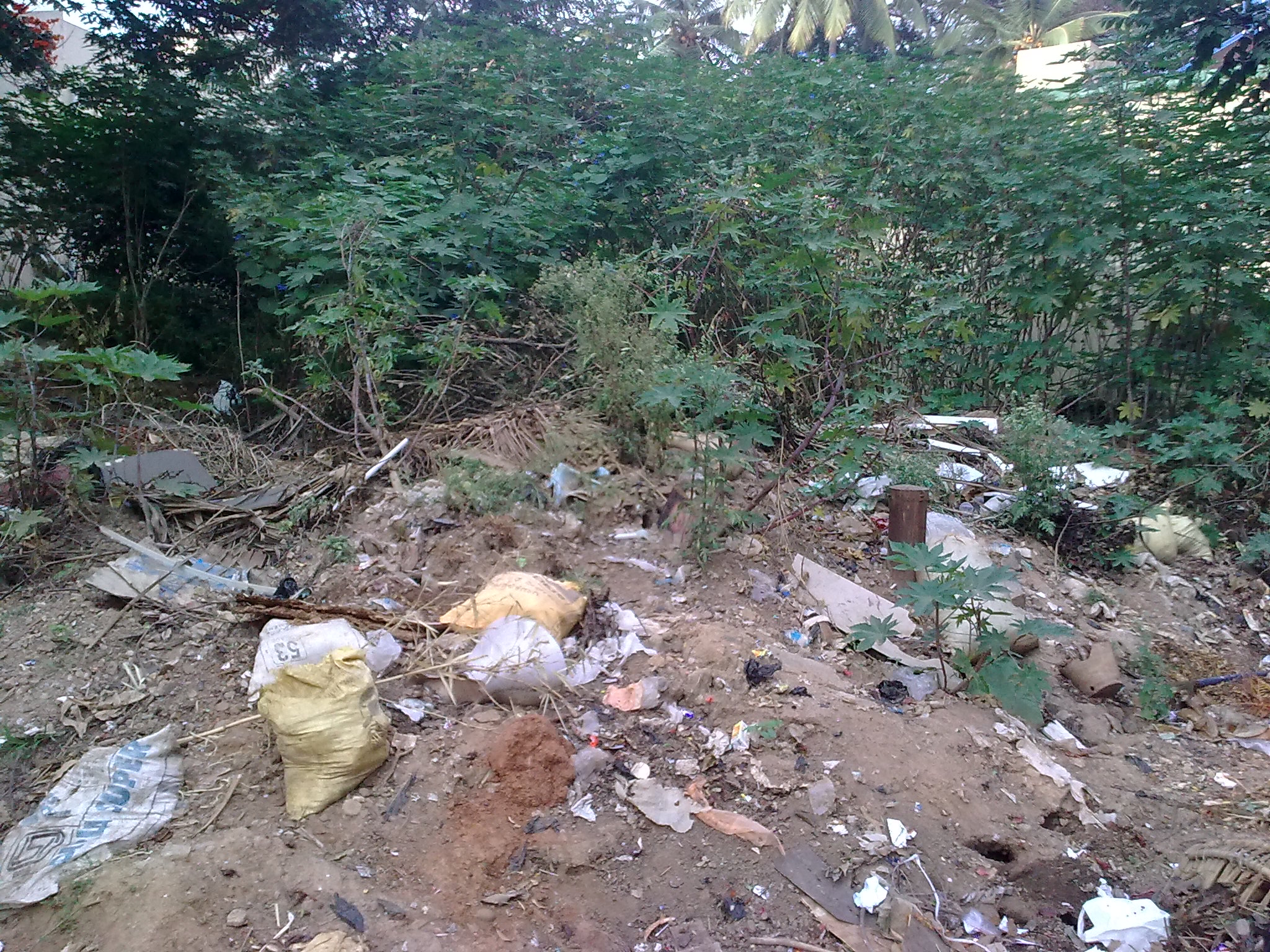Garbage Dump Bengaluru