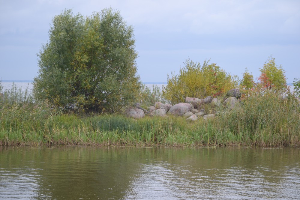 Мол
