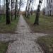 Техникумский парк в городе Калязин