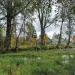 Заводь реки Оредеж в городе Выра