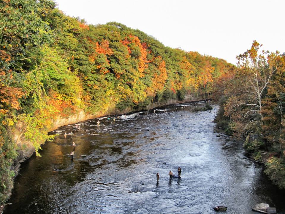 Salmon River Falls