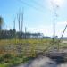 Deforestation in Lipetsk city