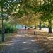 Park Józefa Polińskiego (pl) in Warsaw city