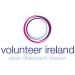Volunteer Ireland in Dublin city