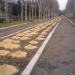 Аллея в городе Белицкое