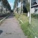 Аллея в городе Белицкое