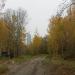 Стадион «Старт» в городе Саров