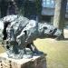 Polar bear in Antwerp city