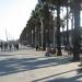 ruta de bicicleta del passeig maritim de la barceloneta (it) en la ciudad de Barcelona