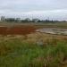 Пересыхающее болото (Солончаки) в городе Волгоград