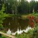 Озеро в городе Екатеринбург