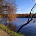 Bolshoy Sadovy (Akademichesky) Pond