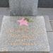 Погруддя А. Я. Тихоненка в місті Вільнянськ