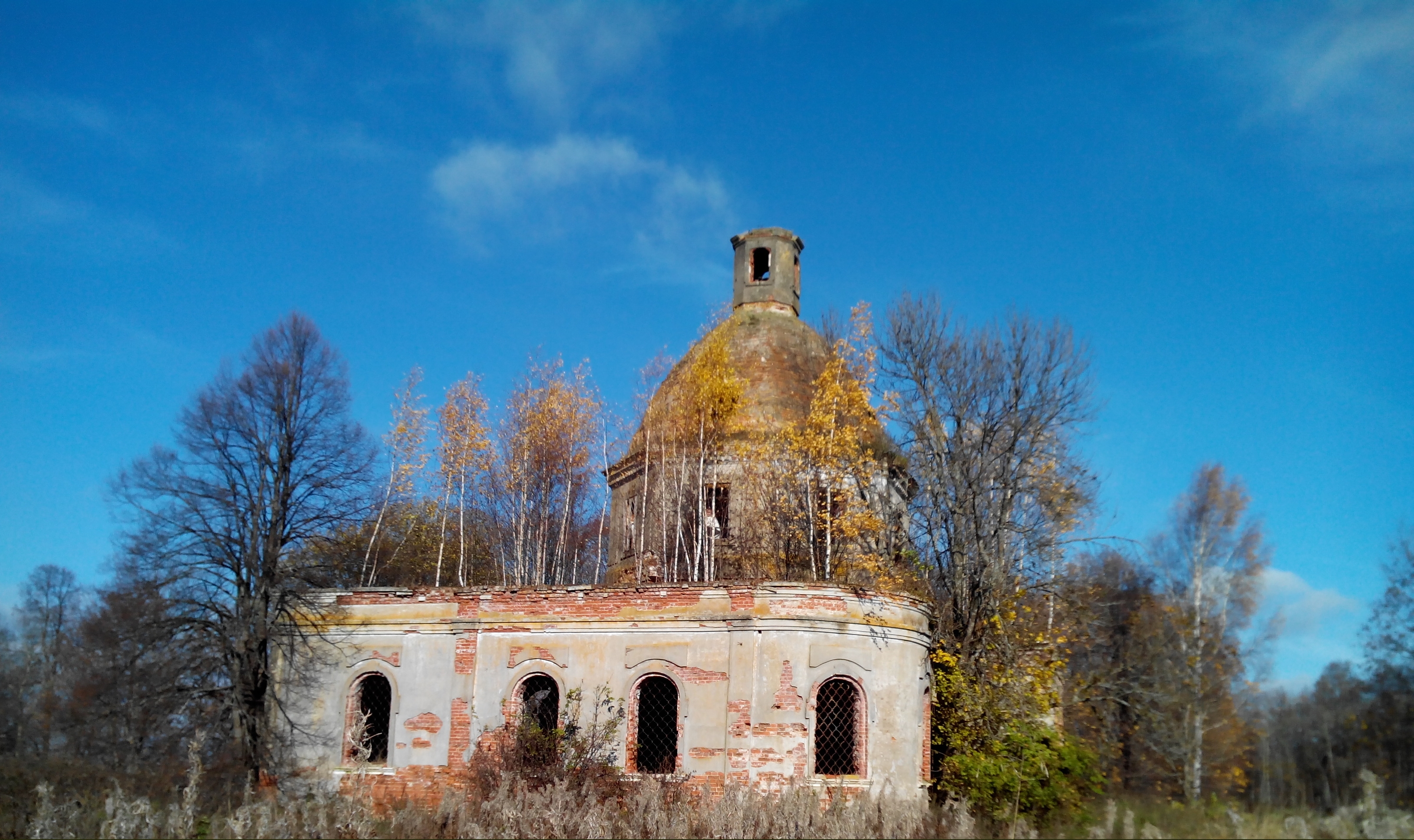 Церковь Покрова Пресвятой Богородицы. Село клины