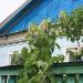 ул. Мира, 39 в городе Кропоткин