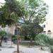 Prince Alfred's Courtyard