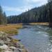 Truckee River Vista from Bike Trail