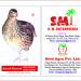 Hindustan Poultry Farm/India's biggest Quail farm project