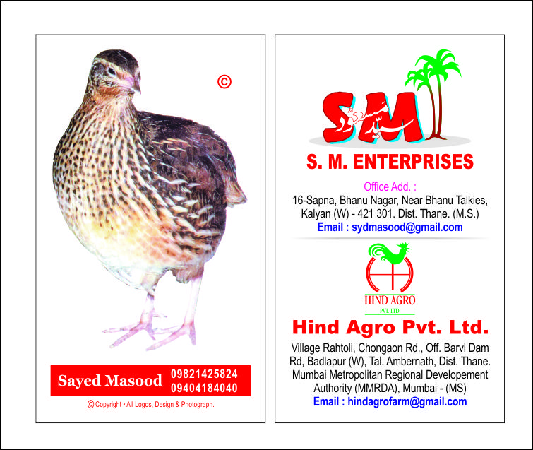 Hindustan Poultry Farm India S Biggest Quail Farm Project