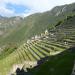 Agricultural Terraces at Machu Picchu