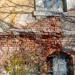 Ruins (en) в городе Лисичанск